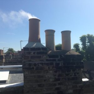 chimney bird guards