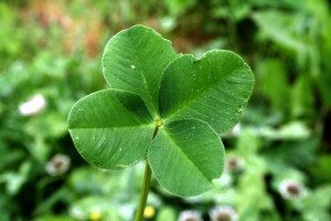 Do Chimney Sweeps Bring Luck